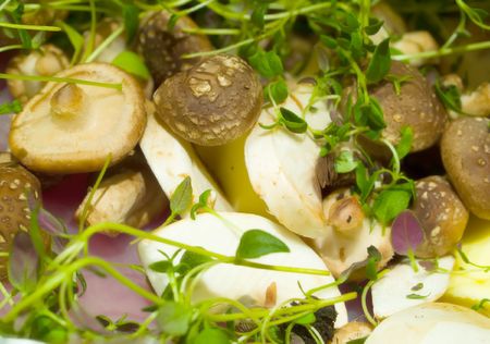 Uncooked dinner, mushrooms and chicken spiced with thymeの写真素材