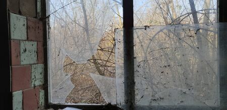 broken window, in autumn, yellow leaves