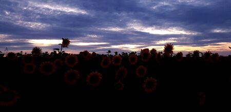 view of heaven and earth, sky gloomy sunsetの写真素材