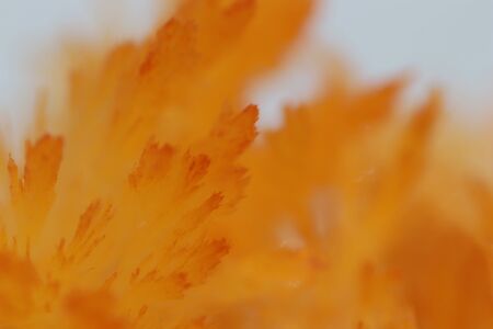 orange crystals, macro yellow crystalの写真素材