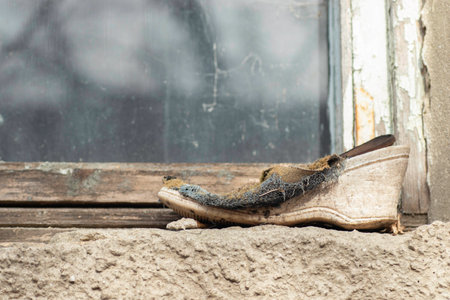 old women's shoes on the windowsill, shoes overgrown with moss