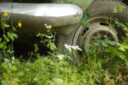 an old abandoned car, the wheel of the car is overgrown with grass and flowersの写真素材