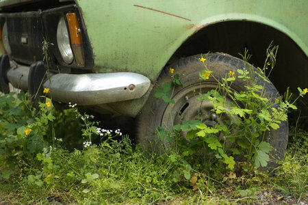an old abandoned car, the wheel of the car is overgrown with grass and flowersの写真素材