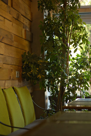 Interior of a cafe with a green sofa and a plant.の写真素材