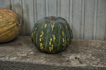 Pumpkin on the old concrete wall. Selective focus.