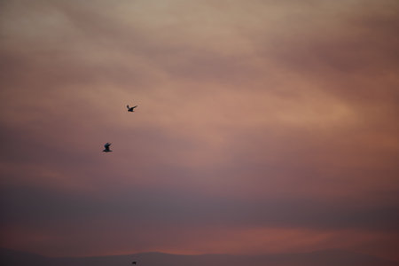 Golden Sunset Reflections on the Shore in Vlora, Albania â August 26, 2025の写真素材
