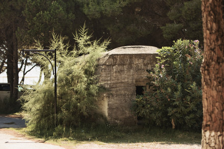 An old concrete Albanian bunker partially hidden among trees and vegetation in Vlora, Albania, photographed on August 19, 2025.の写真素材