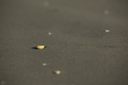 A small smooth pebble lies on the soft sandy beach of Vlora, Albania, captured on August 19, 2025.