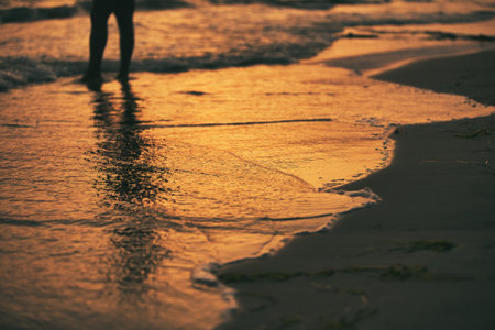 Vlora, Albania â August 21, 2025: Golden sunset light reflects on the wet shoreline as gentle waves wash the beachの写真素材