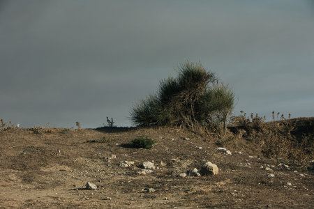 A distant wildfire sends a towering column of smoke into the sky above a small coastal island near Vlora, Albania, captured on August 25, 2025の写真素材