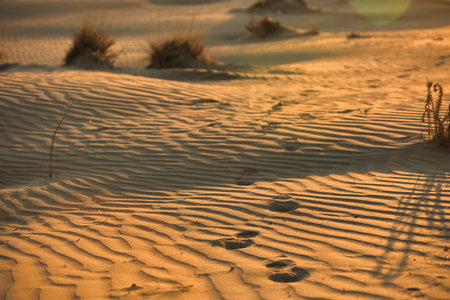 Footprints on rippled sand at sunset in Vlora, Albania. Warm golden light highlights the natural patternsの写真素材