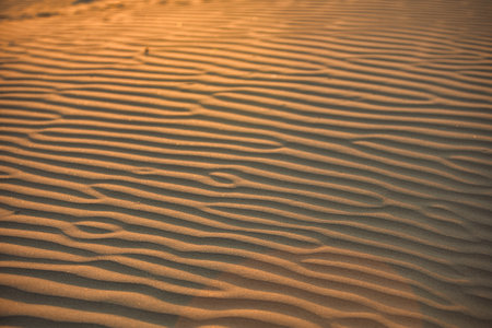 Abstract close-up of sand ripples on a beach captured on August 25, 2025.