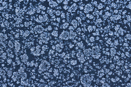 Abstract winter frost texture with delicate ice crystal patterns on a frozen surface. Natural icy...