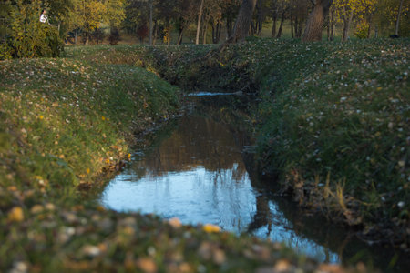 Small river in the autumn park. Autumn landscape with a small river.