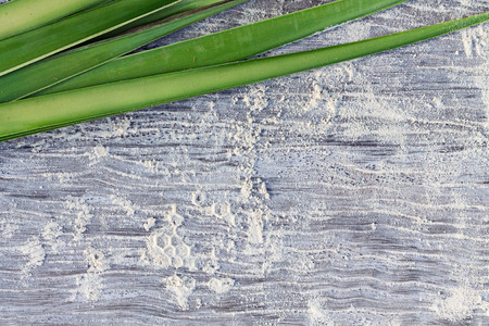 Tropical Still Life of Sand and Palm Trees Top Viewの写真素材