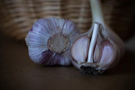 Garlic on a Dark Backgroundの写真素材