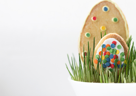 Biscuits in the form of Easter Eggs on the Grass. Copy Spaceの写真素材