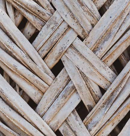 Texture of Wicker Palm Leaves. Background. Lines Tropics