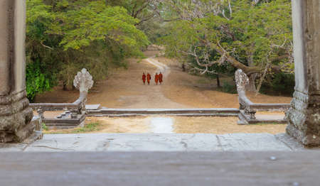 Cambodia. Angkor Wat. 02.2019 Several Monks in the Orange Ryasa Go to the Palaceのeditorial素材