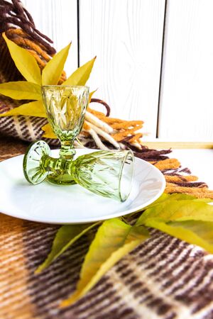 Autumn Still Life with Short Glasses. Czech Glassの写真素材