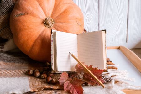 Still Life with Pumpkin and Book. Autumn concept. Copy Spaceの写真素材