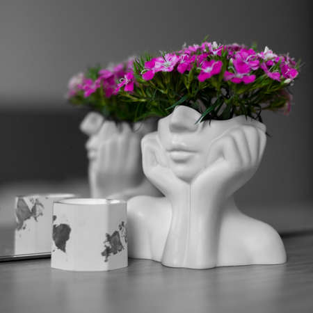 Pink Flowers in a Womans Head. Conceptuallyの写真素材