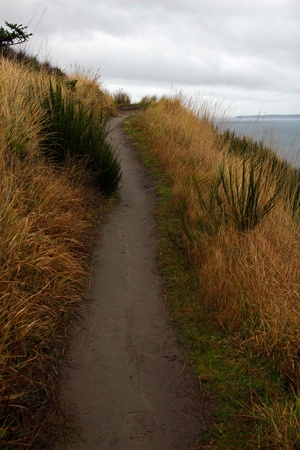 Portrait style photo of hiking trail running from photo bottom vertically twards the top with brown grass encompassing each side of the trail.の写真素材