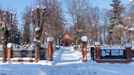 Winter morning on January 17th, 2021 in Tczew (ger. Dirschau) in northern Poland.のeditorial素材