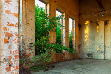 Ruins of an abandoned brick factory in Sztutowo, Poland.