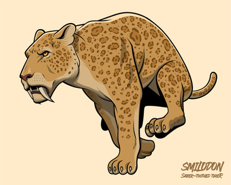 Sabertooth Tiger Runningのイラスト素材