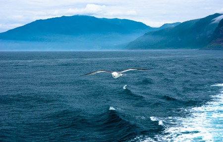 islandの写真素材