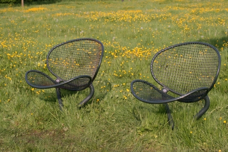 Seat in the weedの写真素材