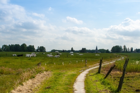 walkway for hiking on the countrysideの写真素材