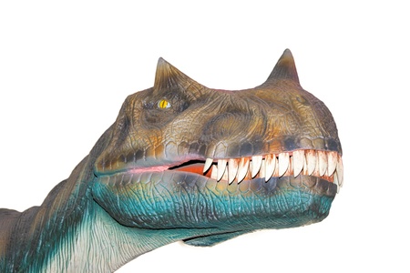 Scary isolated dino dinosaurs T rexの写真素材