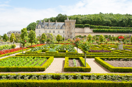 castle gardens with boxwood and vegetables and flowersのeditorial素材