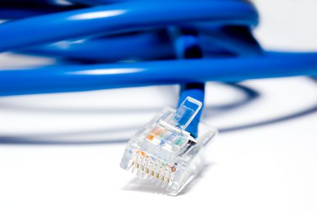 Isolated Patch Cord on white backgroundの写真素材