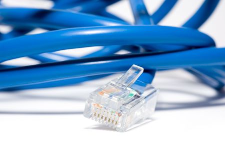 Isolated Patch Cord on white backgroundの写真素材
