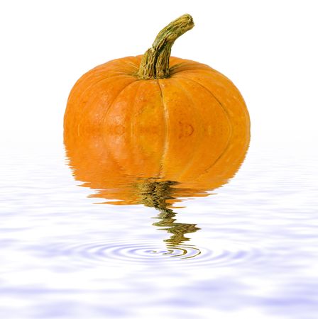 Pumpkin isolated on white  background with reflection on waterの写真素材
