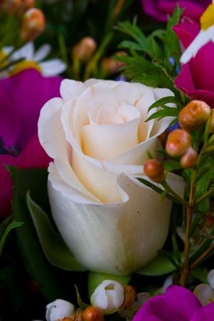 Bouquet close up with shallow depth of field, low keyの写真素材