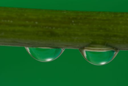 Water drop extreme close up の写真素材