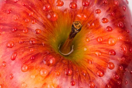Red apple with water drops close upの写真素材