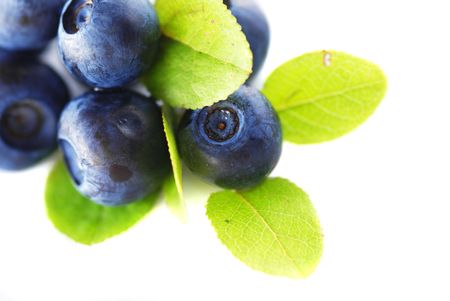 Blueberries over white background. Shallow depth of field.の写真素材