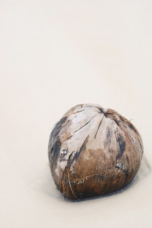Coconut on the tropical beachの写真素材