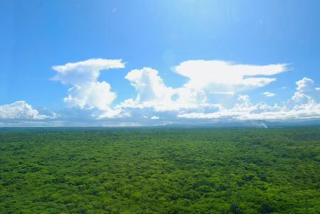 Cloud looks like eagle. Over tropical forest, aerial shot.の写真素材