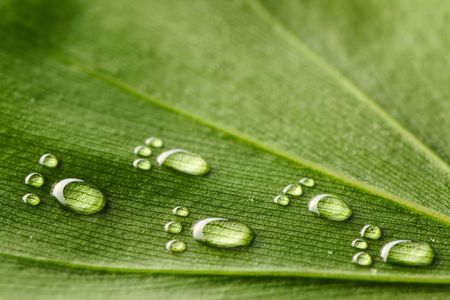 Beautiful water footprint drops on a leaf close-upの写真素材