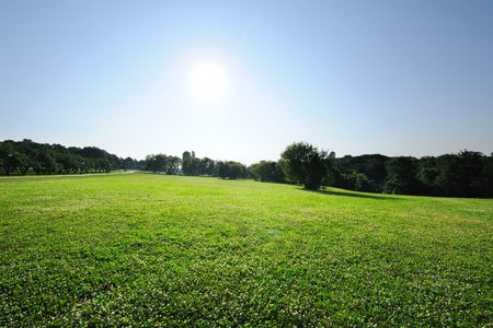 Morning landscape with green meadowの写真素材