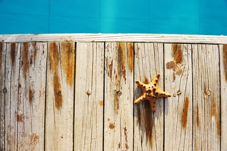 Starfish by a wooden swimming pool の写真素材