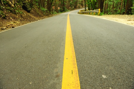 Road running through tropical rainforest