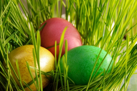 Colored easter eggs in grass