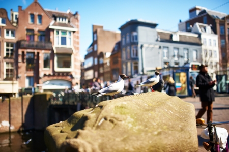 AMSTERDAM, NETHERLANDS - APRIL 1 2013: Amsterdam street at spring, April 1, 2013のeditorial素材
